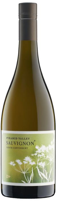 Pyramid Valley North Canterbury Sauvignon+ 2023