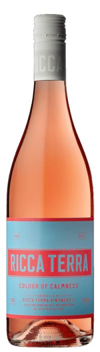 Calmel and Joseph Collection Rose 2023
