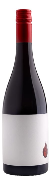 Saorsa Hawkes Bay Syrah 2023