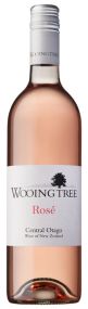 Wooing Tree Rose 2023