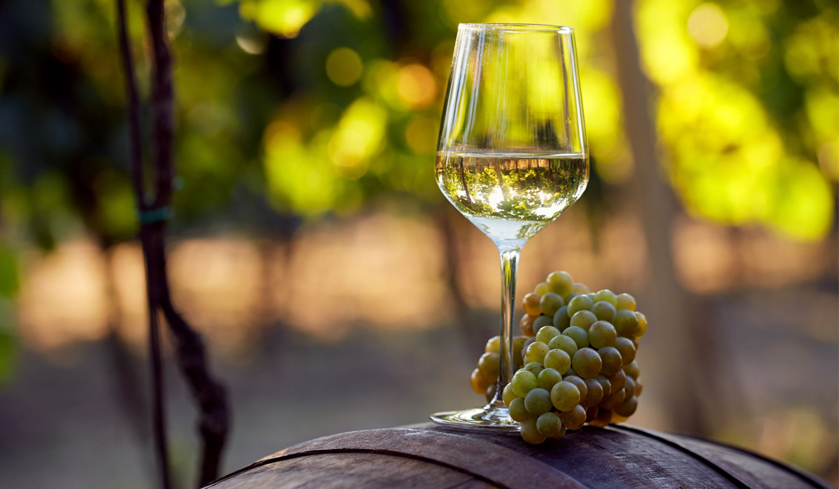 Organically good wine