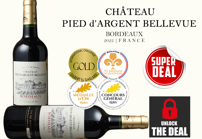 Chateau Pied D’argent Bellevue Bordeaux 2022